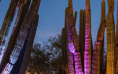 Boulders Resort & Spa Scottsdale, Curio Collection by Hilton