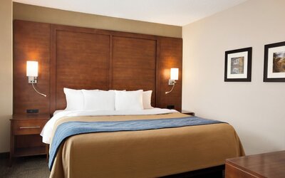 Comfort Inn & Suites Presidential - Downtown Little Rock