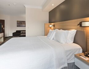 SpringHill Suites by Marriott Sacramento Natomas