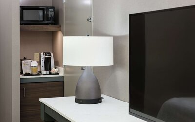 Room, 1 King Bed with Sofa bed (Drinks/Snacks)