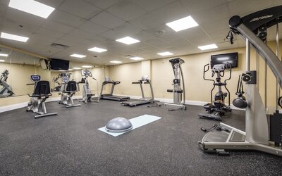 Monte Carlo Inn & Suites Downtown Markham