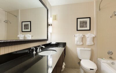 Holiday Inn Sacramento Downtown-Arena by IHG