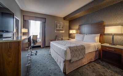 Monte Carlo Inn Toronto - Markham