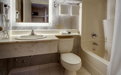 Monte Carlo Inn Toronto - Markham