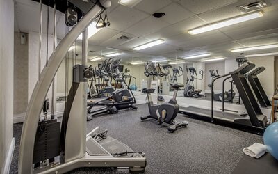 Monte Carlo Inn Toronto - Markham