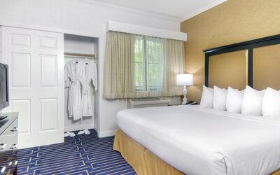 Best Western Plus Palm Court Hotel