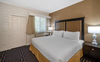 Best Western Plus Palm Court Hotel