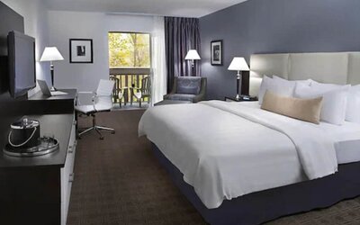 Toronto Don Valley Hotel and Suites