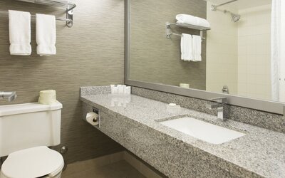 Toronto Don Valley Hotel and Suites