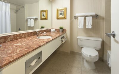 Toronto Don Valley Hotel and Suites