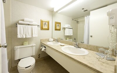 Toronto Don Valley Hotel and Suites