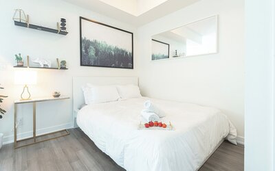 Beautiful Luxurious Modern Suite