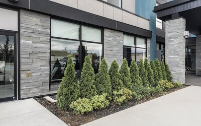 Holiday Inn Express & Suites Toronto Airport South by IHG