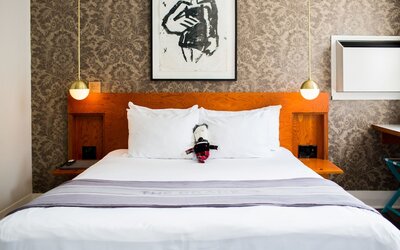 The Drake Hotel