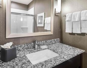 Guest bathroom with shower at Holiday Inn & Suites Silicon Valley - Milpitas.