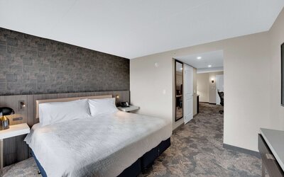Hilton Garden Inn Toronto/Brampton