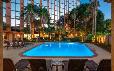 Sheraton Houston Brookhollow Hotel’s outdoor pool, with loungers and plant life nearby.