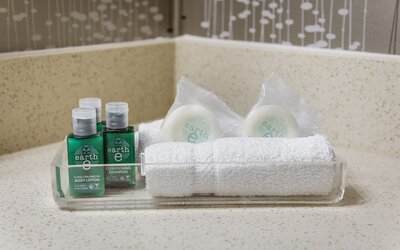Monte Carlo Inn Airport Suites