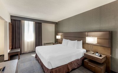 Best Western Plus Toronto Airport Hotel