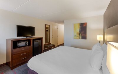 Best Western Plus Toronto Airport Hotel