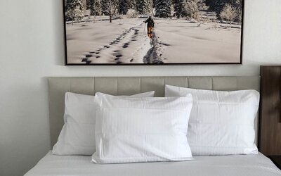 La Quinta Inn & Suites by Wyndham Denver Parker