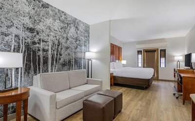 Comfort Suites Golden West on Evergreen Parkway