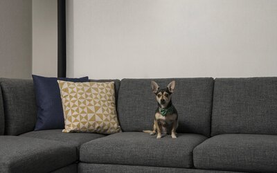 Hyatt Place Denver/Cherry Creek