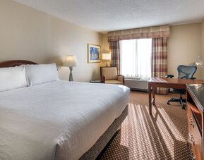 Hilton Garden Inn Denver Airport