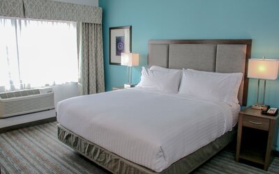 Holiday Inn & Suites Denver Tech Center-Centennial by IHG