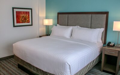 Holiday Inn & Suites Denver Tech Center-Centennial by IHG