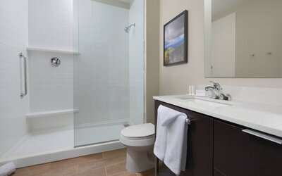TownePlace Suites by Marriott Denver South/Lone Tree