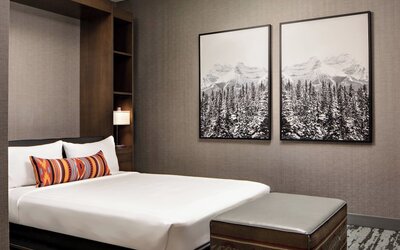 Gaylord Rockies Resort & Convention Center