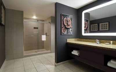 Marriott Denver South at Park Meadows