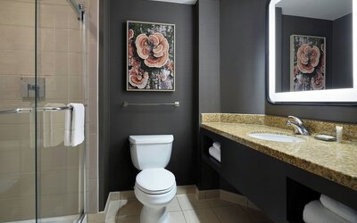 Marriott Denver South at Park Meadows