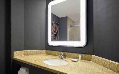 Marriott Denver South at Park Meadows