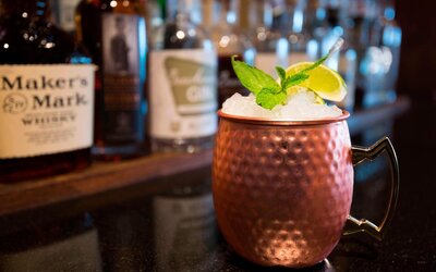 Marriott Denver South at Park Meadows