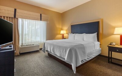 Suite, 1 King Bed with Sofa bed, Non Smoking, Mountain View