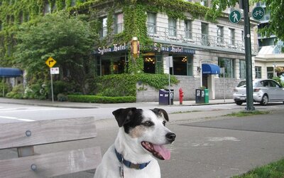 Sylvia Hotel