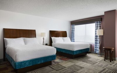 Hilton Garden Inn Denver South Park Meadows Area