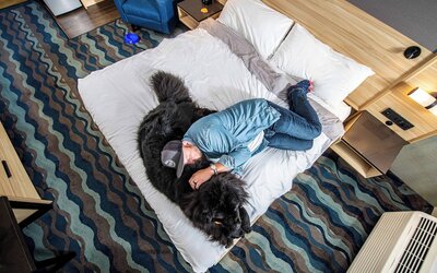 Accent Inns Burnaby