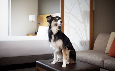 Hyatt Place Denver Downtown
