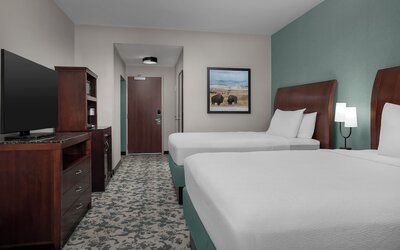 Hilton Garden Inn Denver Downtown