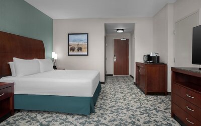 Hilton Garden Inn Denver Downtown