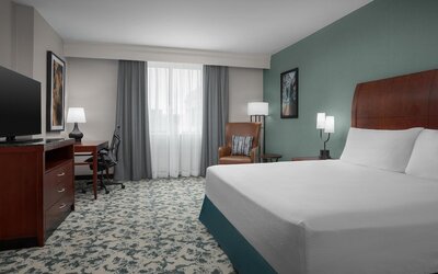Hilton Garden Inn Denver Downtown
