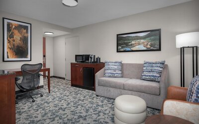 Hilton Garden Inn Denver Downtown