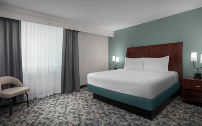 Hilton Garden Inn Denver Downtown