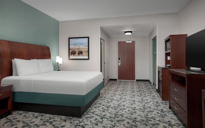 Hilton Garden Inn Denver Downtown