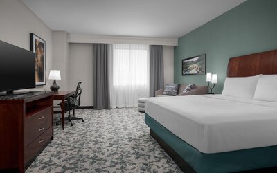 Hilton Garden Inn Denver Downtown