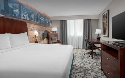Hilton Garden Inn Denver Downtown