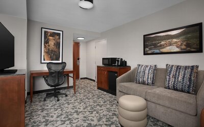 Hilton Garden Inn Denver Downtown